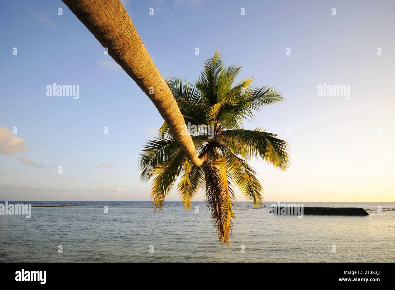 Fotos vom Malediven Beach Stockfoto
