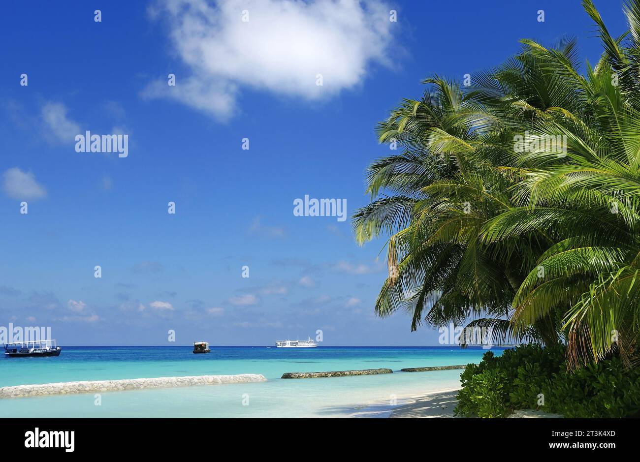 Fotos vom Malediven Beach Stockfoto