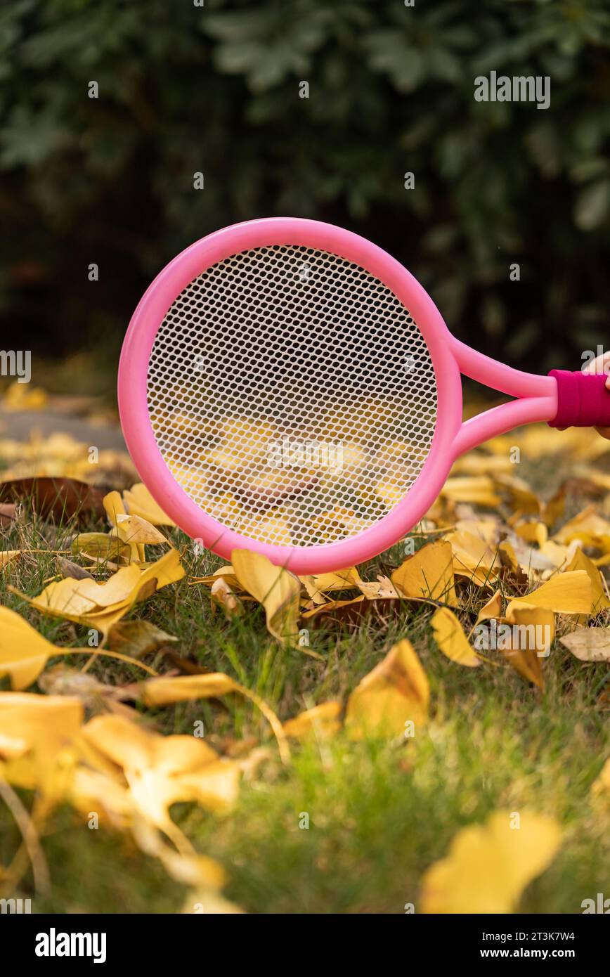 Gelbe Ginkgoblätter und Kinder-Racquets Stockfoto