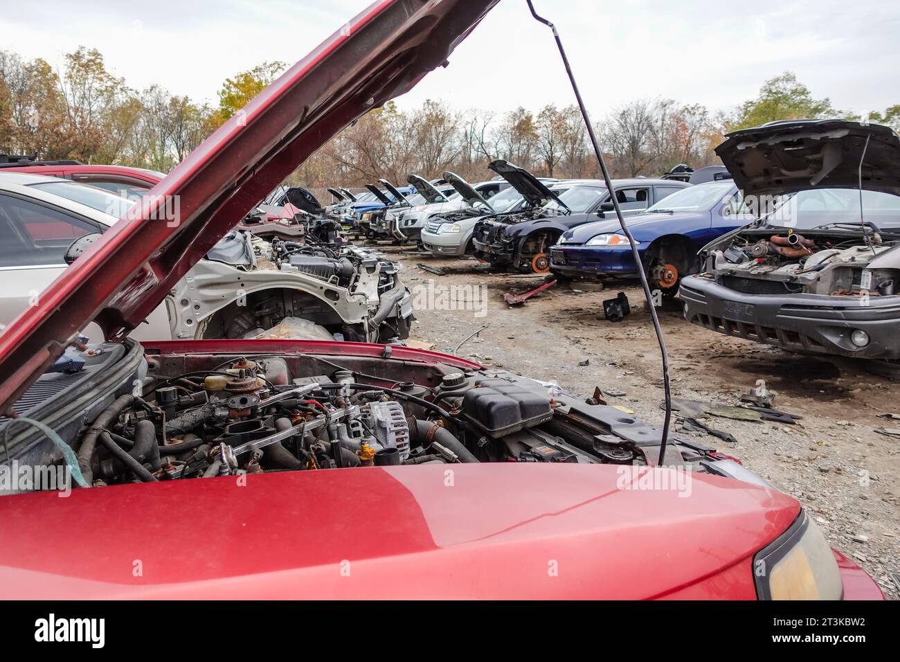 Alte Autos in einem Schrottplatz, deren Teile entfernt werden Stockfoto