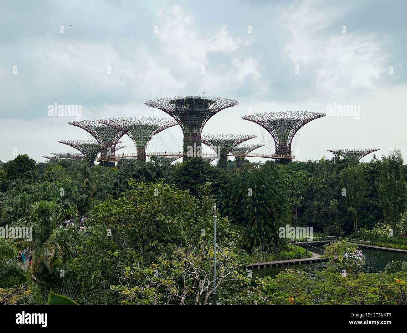 Singapur, Singapur. Oktober 2023. Die Superbäume in den Gärten an der Bucht. Mehr als 160.000 Pflanzen wachsen auf den futuristischen Metallbäumen. Solarzellen erzeugen Strom, und die Bäume sammeln auch Regenwasser. Vermerk: Carola Frentzen/dpa/Alamy Live News Stockfoto