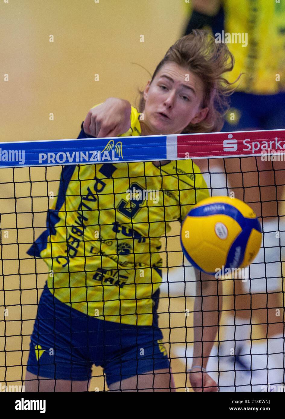 Schwerin, Deutschland. Oktober 2023. Volleyball, Frauen: Bundesliga ...