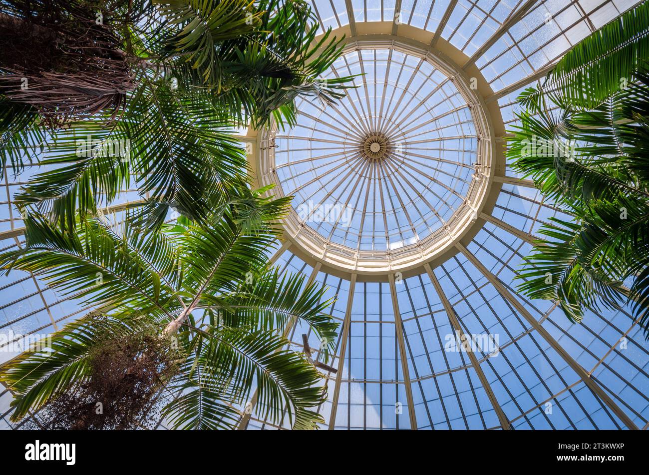 Botanischer Garten in Buffalo, New York Stockfoto