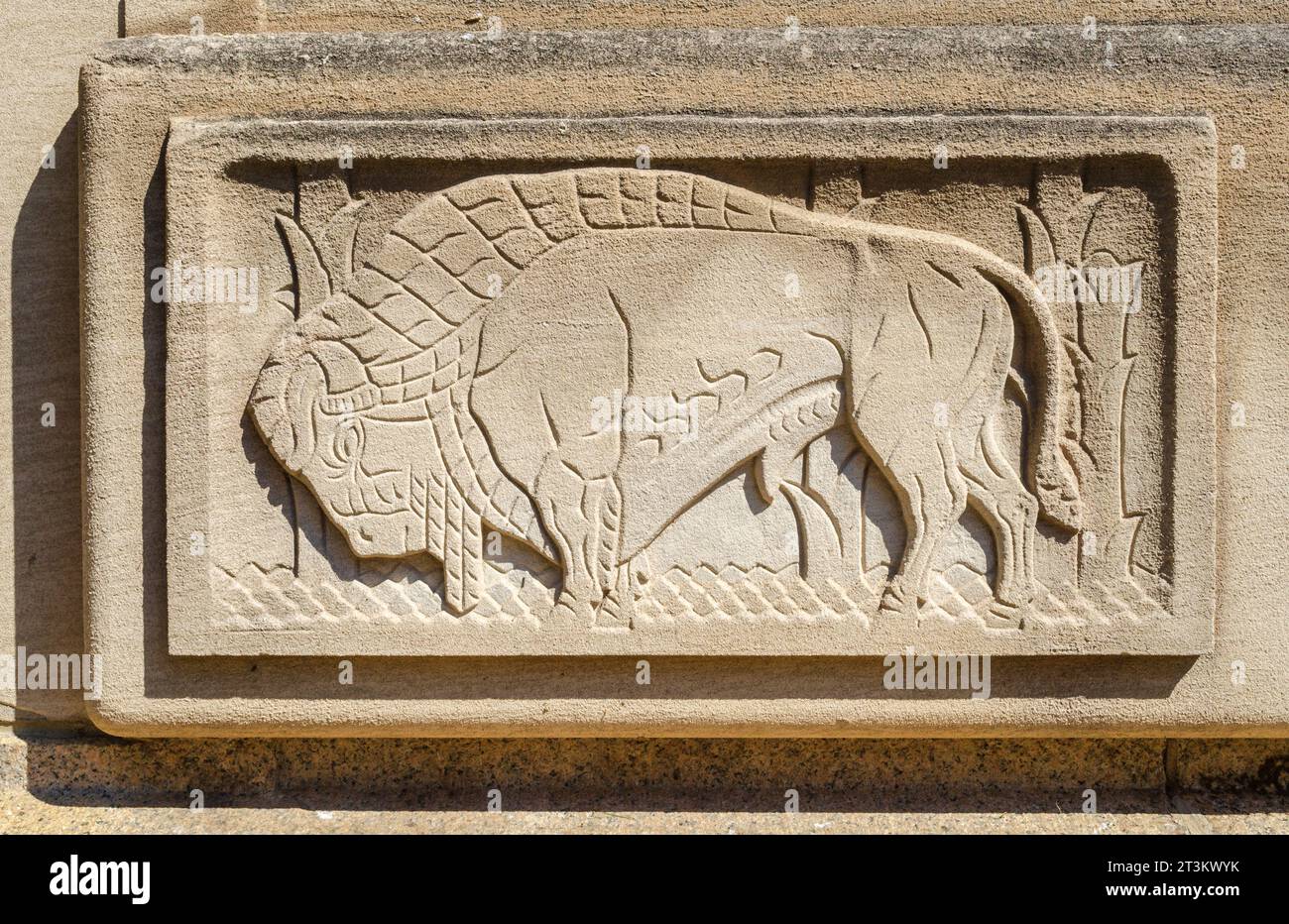 Das Buffalo City Hall in Buffalo, New York Stockfoto