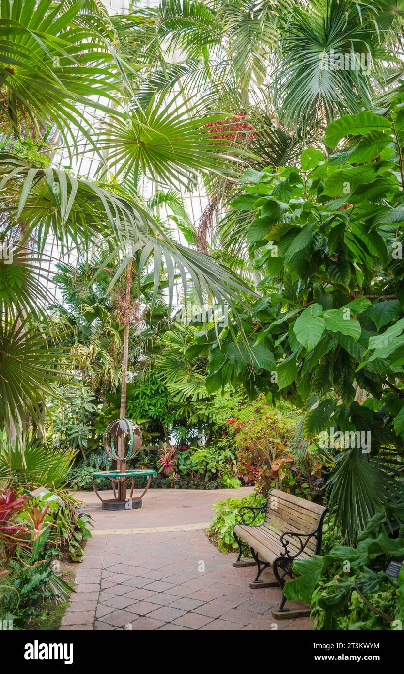 Botanischer Garten in Buffalo, New York Stockfoto