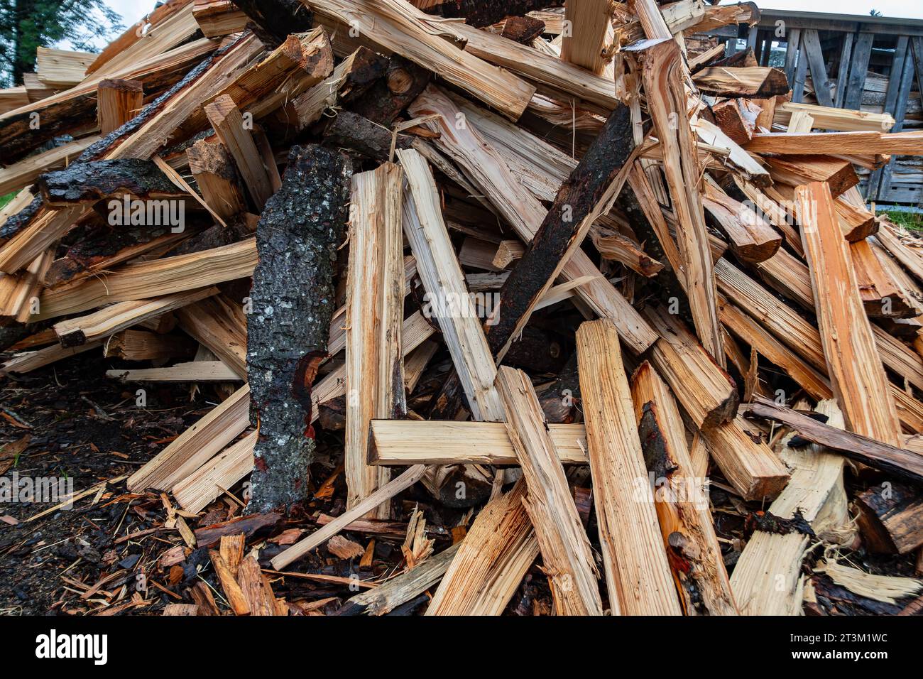 Ein Haufen Baumstämme, frisch gespaltenes Brennholz. Stockfoto