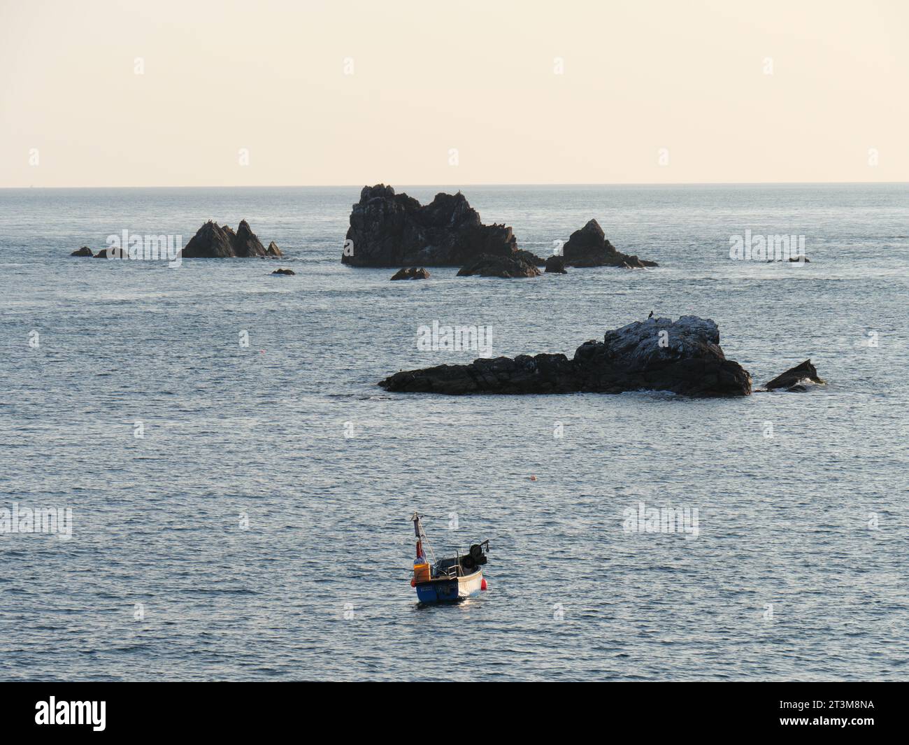 Isolierte Felsen im Meer vor der Klippe am Lizard Point in Cornwall, England bei Sonnenuntergang Stockfoto