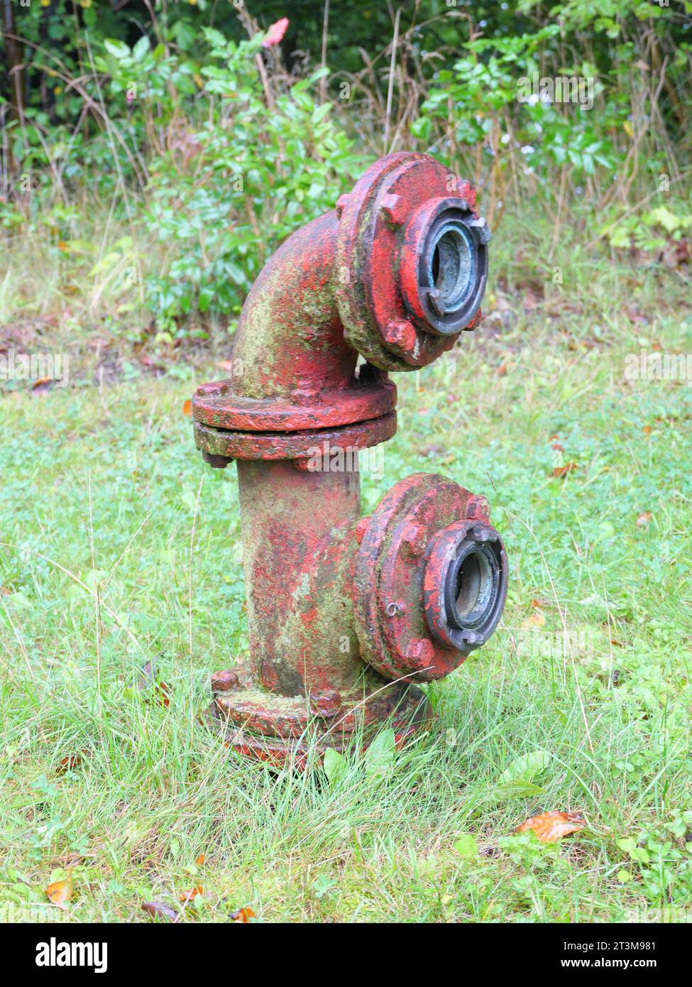 Alter moosroter Hydrant als Feuerwehranschluss für Löschschläuche Stockfoto