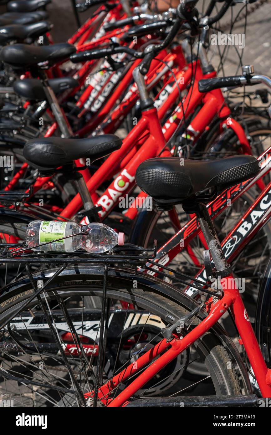 Fahrrad-Sharing-Programm, Dockingstation. Rote Fahrräder verschlossen, hintereinander geparkt. Ökologischer Alternativverkehr. Rom, Italien, Europa, EU. Nahaufnahme Stockfoto