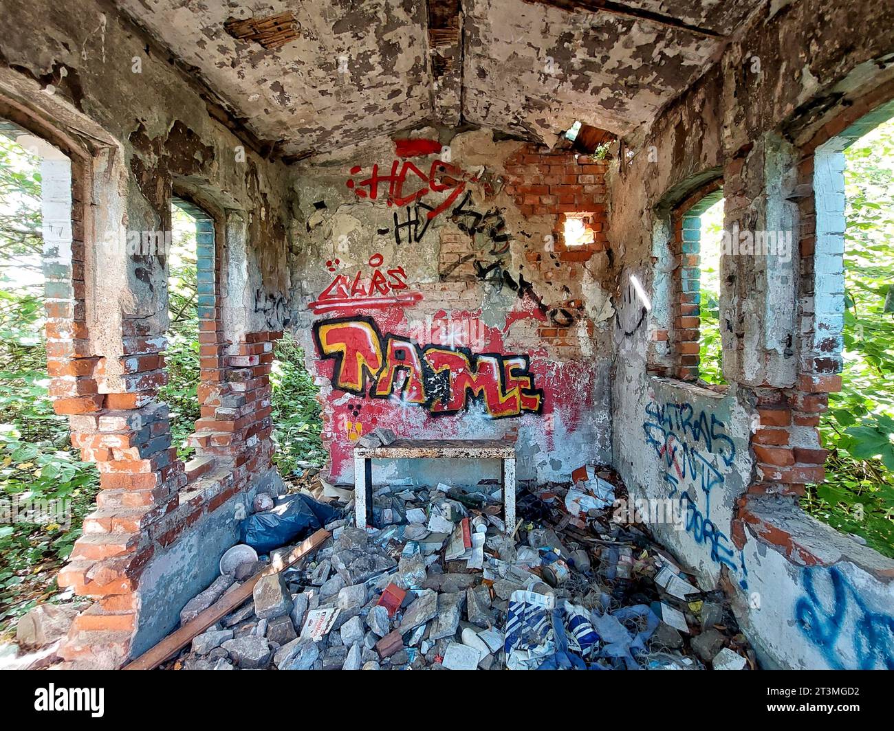 Kleiner, abgerissener Raum mit Kritzeleien an der Wand und Natur im Inneren. Stockfoto