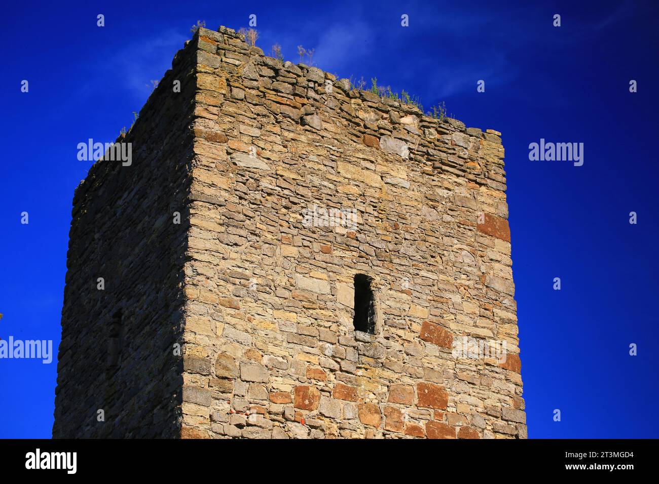 Mittelalterlicher deutscher Wachturm (Blaue Warte) bei Wanzleben. Stockfoto