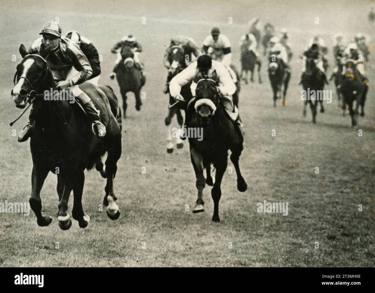 Horse Never Say die gewinnt vor der Arabian Night und Darius beim Epsom Derby Horse Racing, Frankreich 1954 Stockfoto