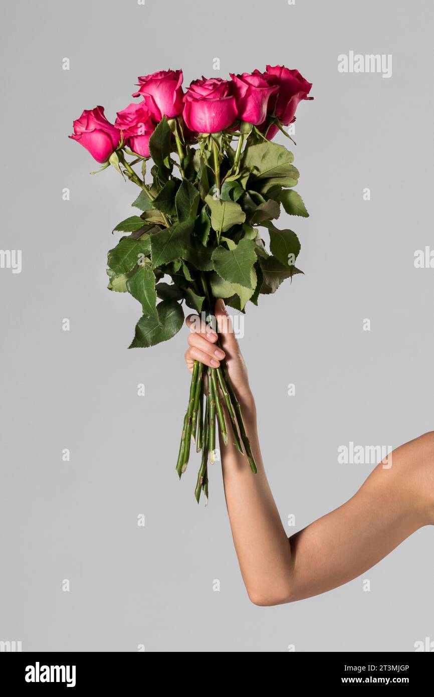 Nahaufnahme nicht erkennbare Frau mit Blumenstrauß frischer roter Rosen mit grünen Blättern vor grauem Hintergrund Stockfoto