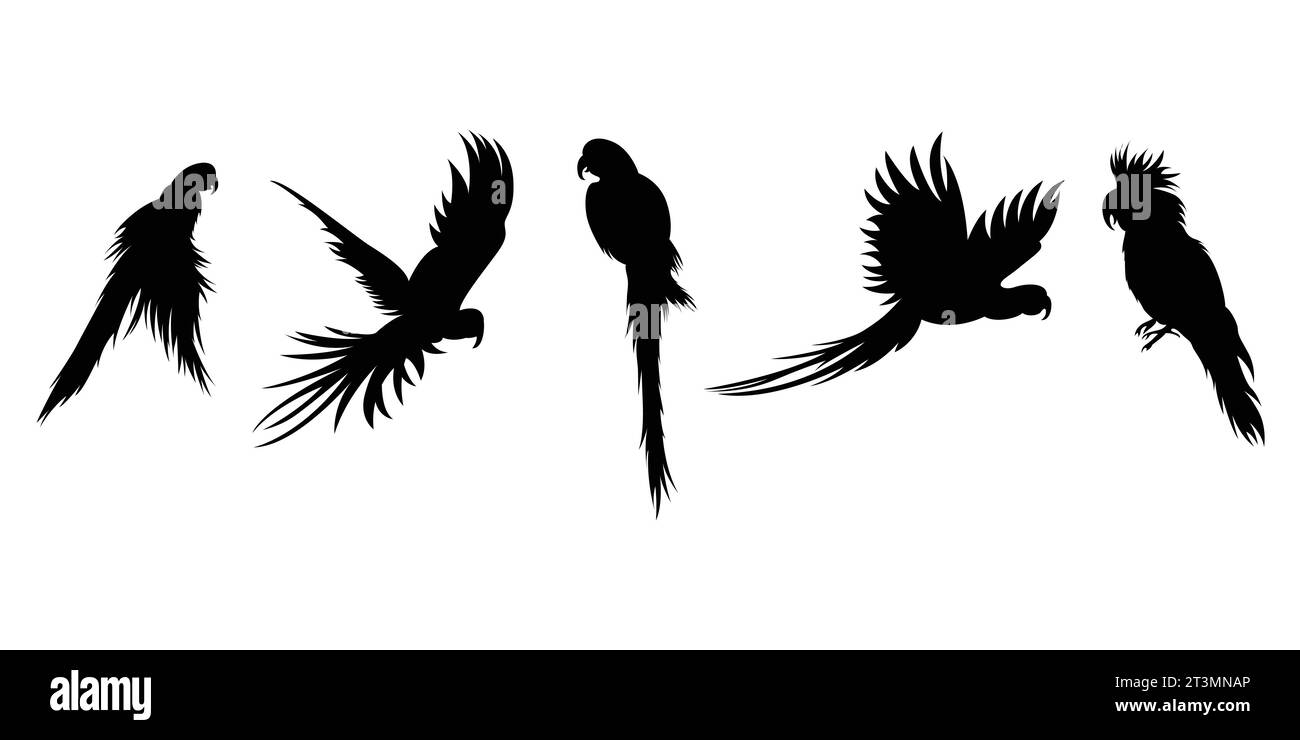 Isolierte Vogel-Silhouetten in einer Vektorsammlung, grafische Ressourcen. Stock Vektor