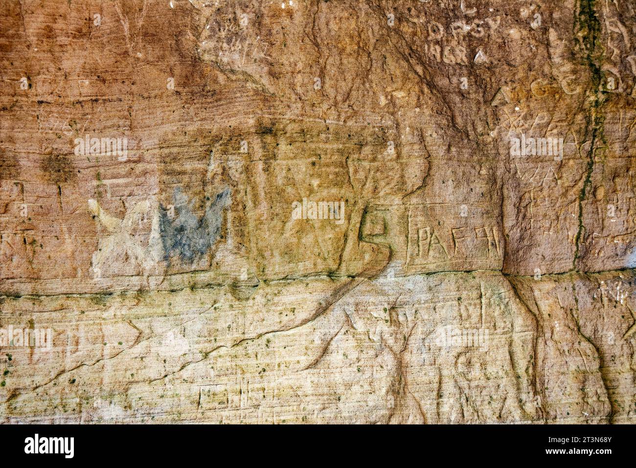 Hopeman Moray Coast Schottland Sandsteinmauer in Sculptors Cave mit Picish-Stichen 500 n. Chr. umgeben von Graffiti Stockfoto