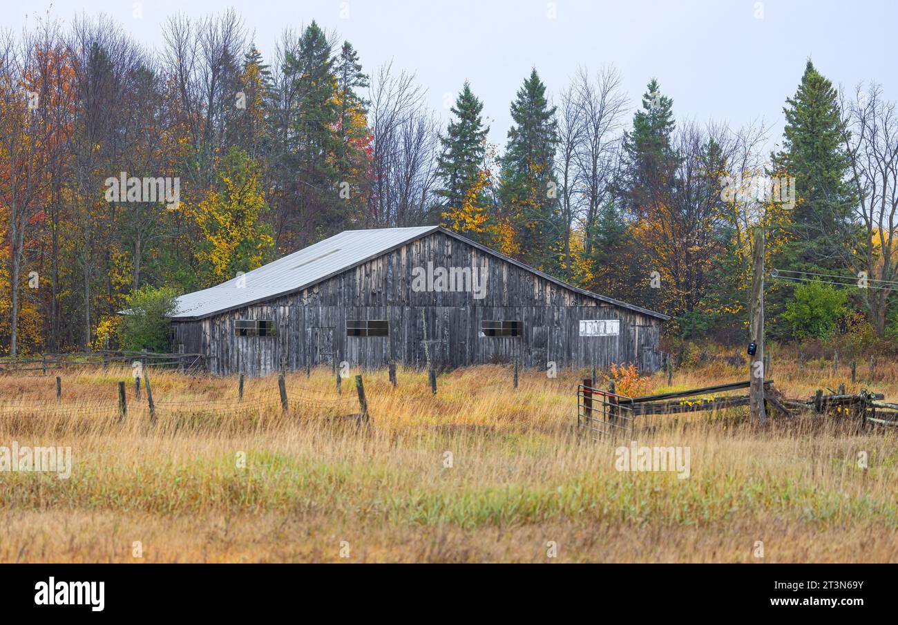 Eine alte Scheune an einem kalten, bunten Herbstmorgen in der Nähe von Renfrew, Kanada Stockfoto