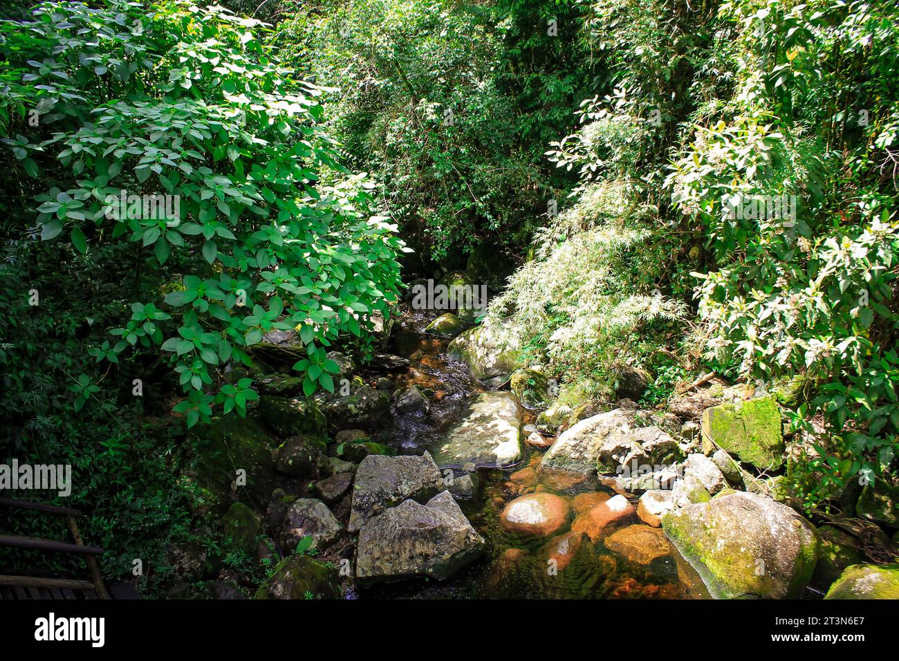 Imagens de Paisagens e Gastronomia Stockfoto