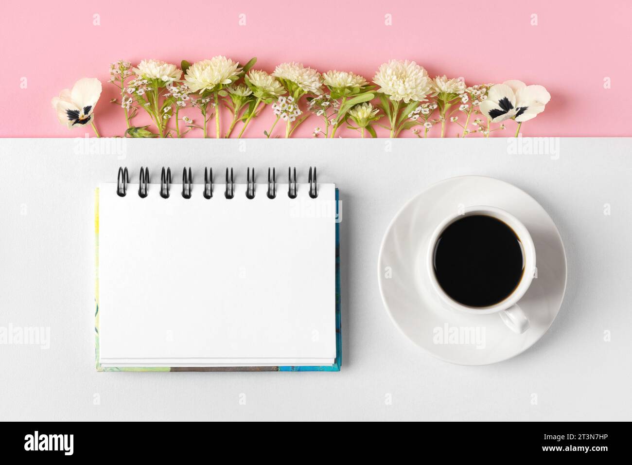 Komposition mit geöffnetem leerem Notizblock, Tasse schwarzen Kaffee, Asterblumen und Stiefmütterchen auf grauem und rosa Hintergrund. Festliches Desktop-Konzept für das Büro. M Stockfoto