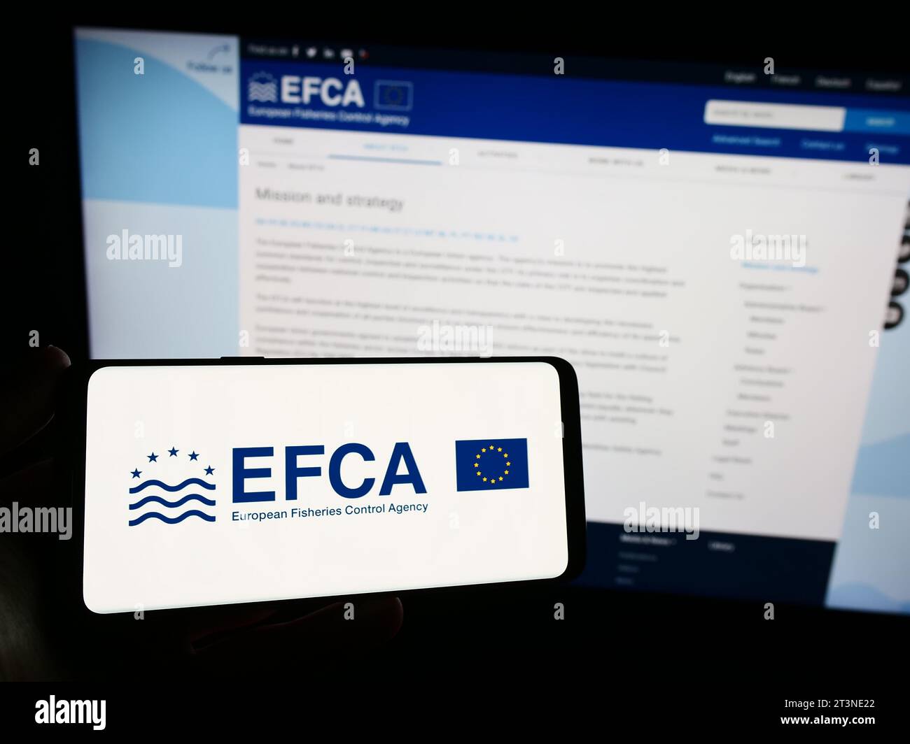 Person mit Smartphone und Logo der Europäischen Fischereiaufsichtsagentur (EFCA) vor der Website. Schwerpunkt auf dem Display des Telefons. Stockfoto