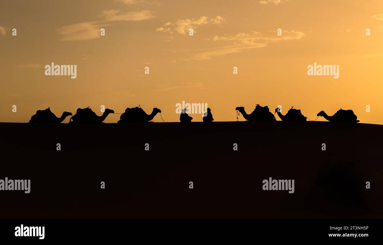 Silhouette von zwei Berbermännern, die mit Kamelkarawanen auf Sanddünen sitzen, während der Sonnenuntergang in der Sahara, Marokko Stockfoto