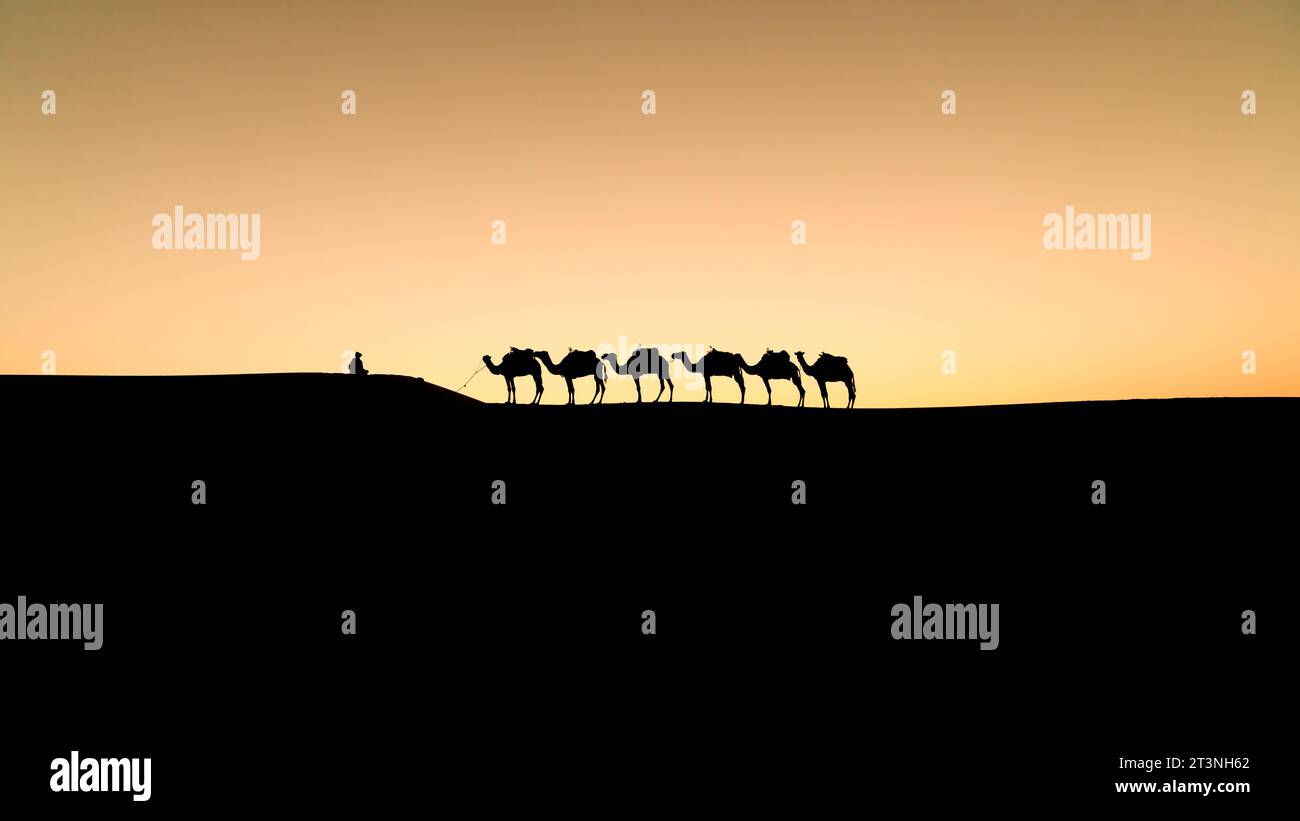Silhouette zweier nicht identifizierter Berber, die während des Sonnenuntergangs in der Sahara in Marokko eine Kamelkarawane über Sanddünen führen Stockfoto