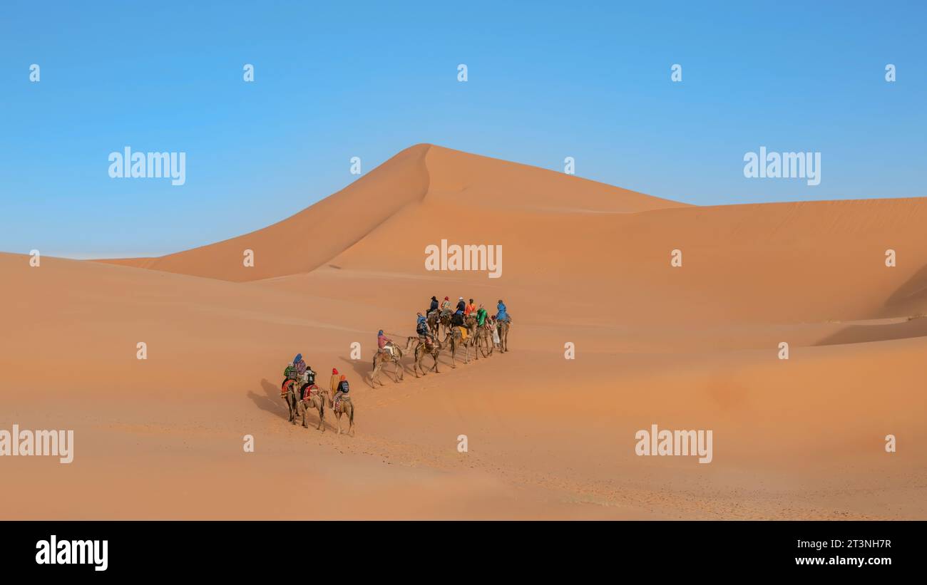 Sahara-Wüste, Marokko - 13. September 2022: Touristen auf einem Kamelritt über die Sanddünen, geführt von einem Berbermann, ein klassischer Sahara-Tourismus-Exp Stockfoto