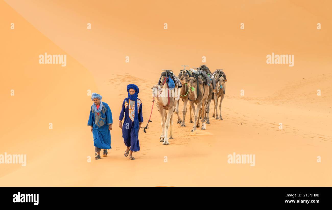 Sahara-Wüste, Marokko – 14. September 2022: Zwei Berber führen eine Kamelkarawane über Sanddünen Stockfoto