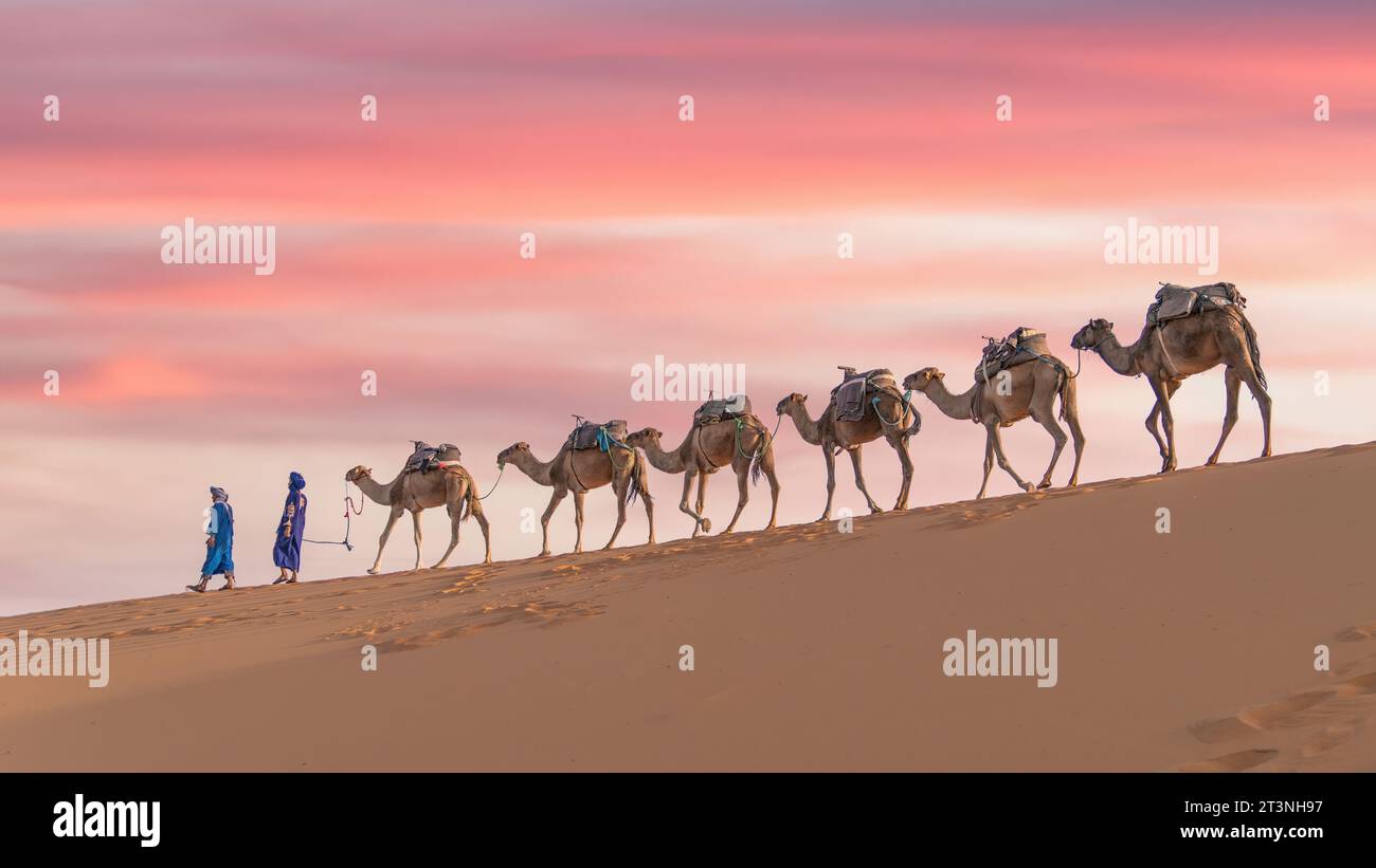 Sahara-Wüste, Marokko – 14. September 2022: Zwei Berber führen eine Kamelkarawane über Sanddünen in der Sahara-Wüste, Marokko Stockfoto