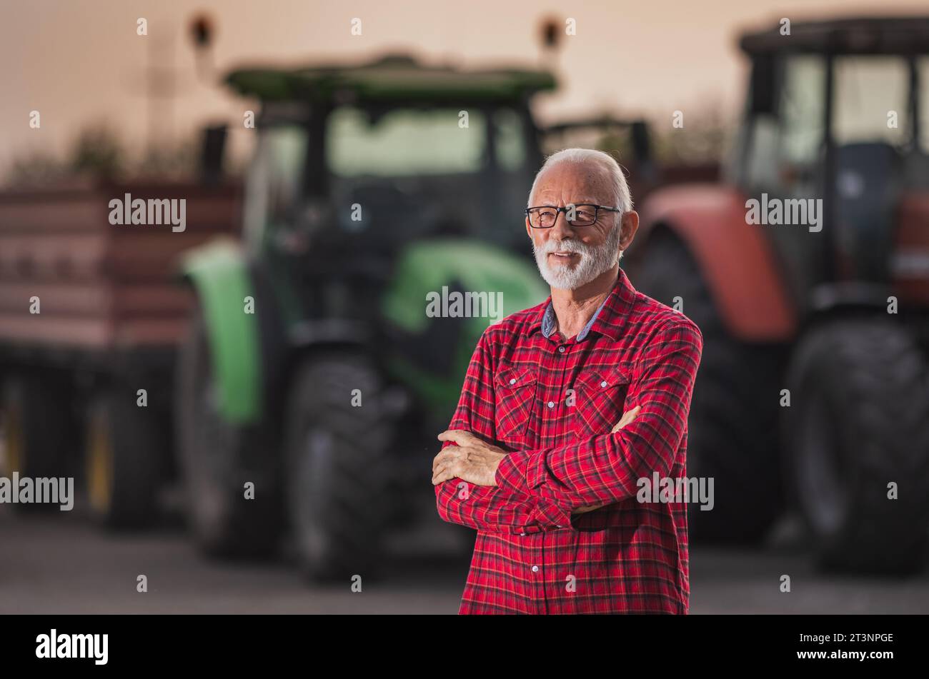 Porträt eines Seniorenbauers, der vor zwei Traktoren mit Anhängern zur Erntezeit steht Stockfoto