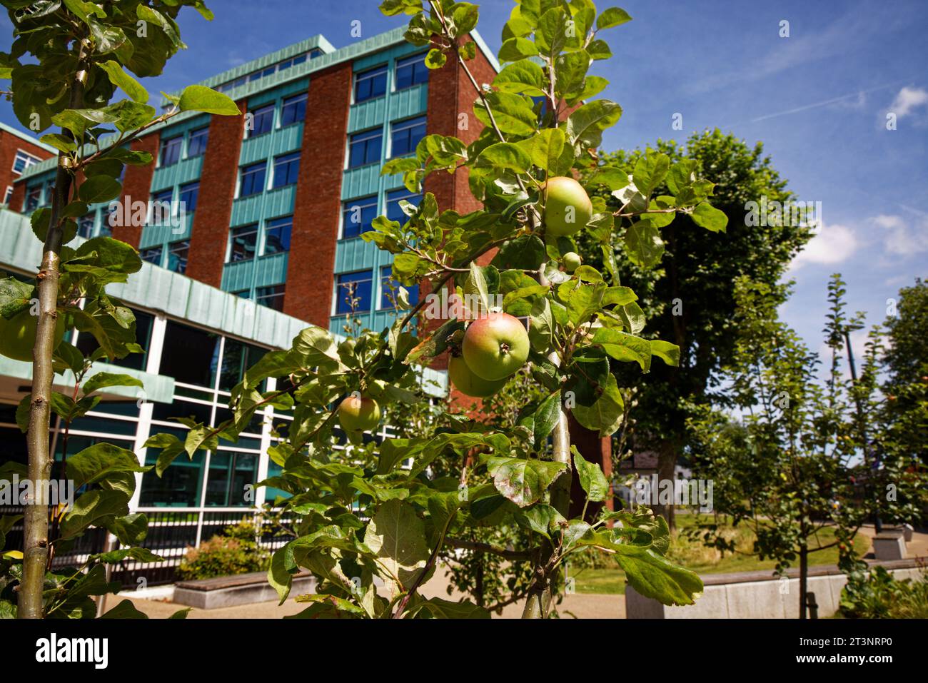 Campus Der Manchester University Stockfoto