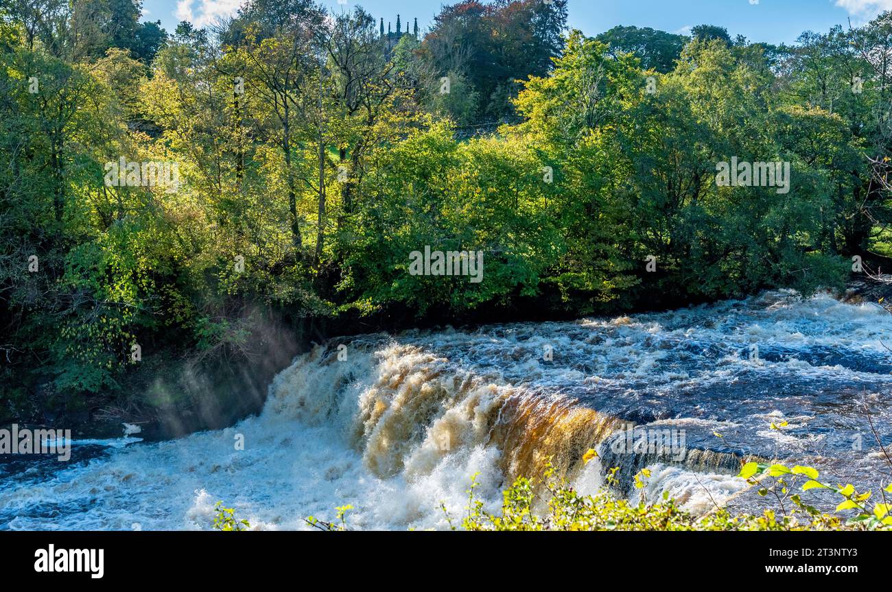 River ure bei Aysgarth Falls, Richmondshire District of North Yorkshire, in vollem Fluss, nachdem Storm Babet im Oktober 2023 starke Regenfälle auf der Spitze von O brachte Stockfoto