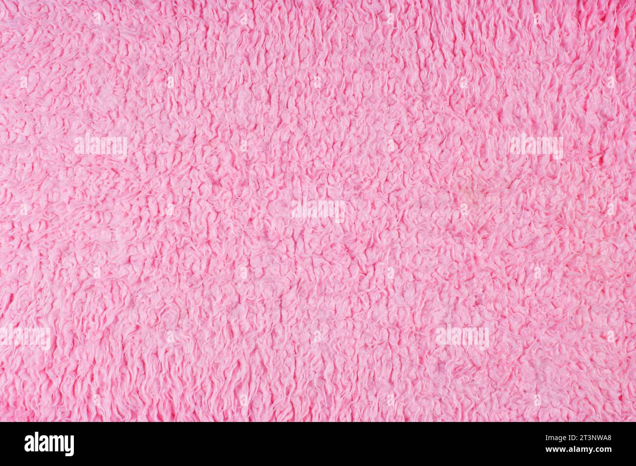 Vollbild eines rosa Wollteppichs - John Gollop Stockfoto