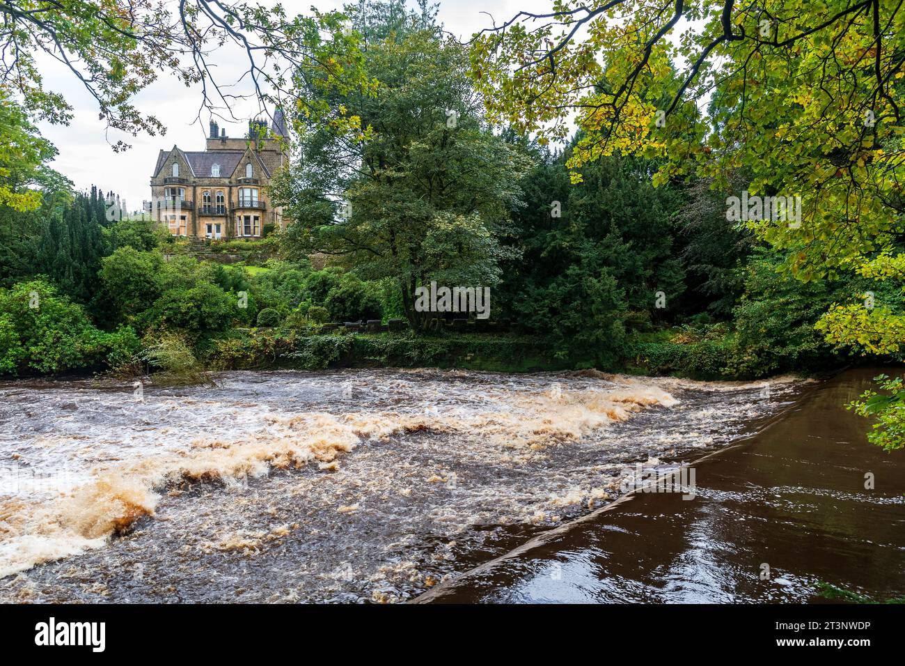 River Nidd, bei Pateley Bridge, Castlestead, North Yorkshire, Nidderdale, in vollem Fluss, nachdem Storm Babet im Oktober 2023 starke Regenfälle auf der Spitze von Oo gebracht hatte Stockfoto