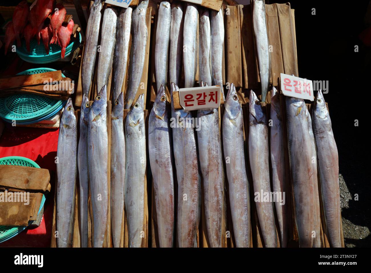Fischmarkt in Busan, Südkorea. Largehead Hairtail Fisch auch als Cutlassfish oder Beltfish auf dem Jagalchi Fish Market bekannt. Die Schilder auf Koreanisch buchstabieren Th Stockfoto
