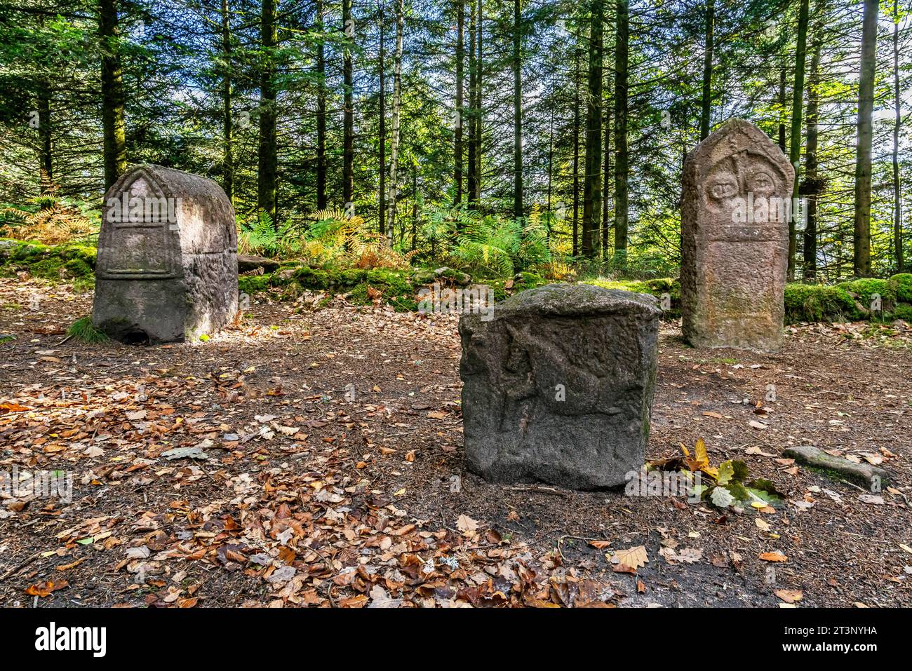 Eine aufrechte Grabstele im keltischen Lager La Bure, einer befestigten Hochburg, die an das Haute-Meurthe-Tal grenzt, Grand-East von Frankreich. Stockfoto