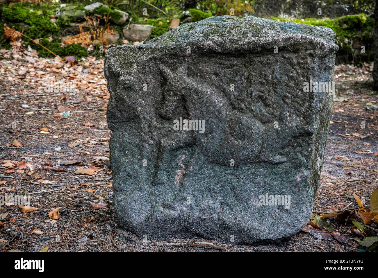 Das Pferd - Fisch im keltischen Lager La Bure, einem befestigten Hochgelände, das an das Haute-Meurthe-Tal grenzt, Grand-East von Frankreich. Stockfoto