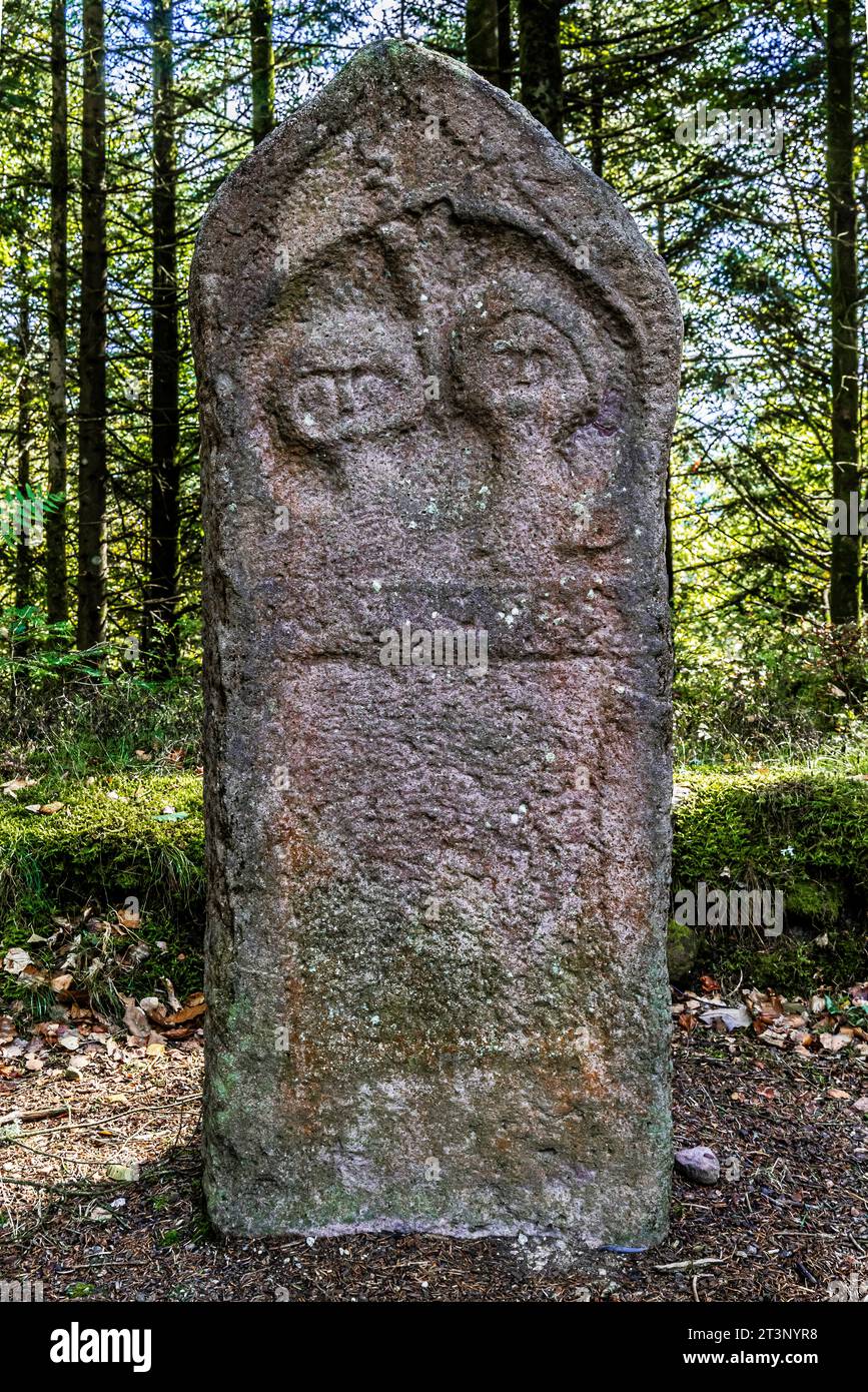 Eine aufrechte Grabstele im keltischen Lager La Bure, einer befestigten Hochburg, die an das Haute-Meurthe-Tal grenzt, Grand-East von Frankreich. Stockfoto