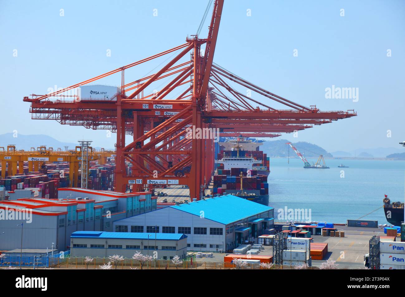 BUSAN, SÜDKOREA - 31. MÄRZ 2023: Busan New Port, auch bekannt als Pusan Newport International Terminal. Neues Containerterminal in Seongbuk-dong Stockfoto