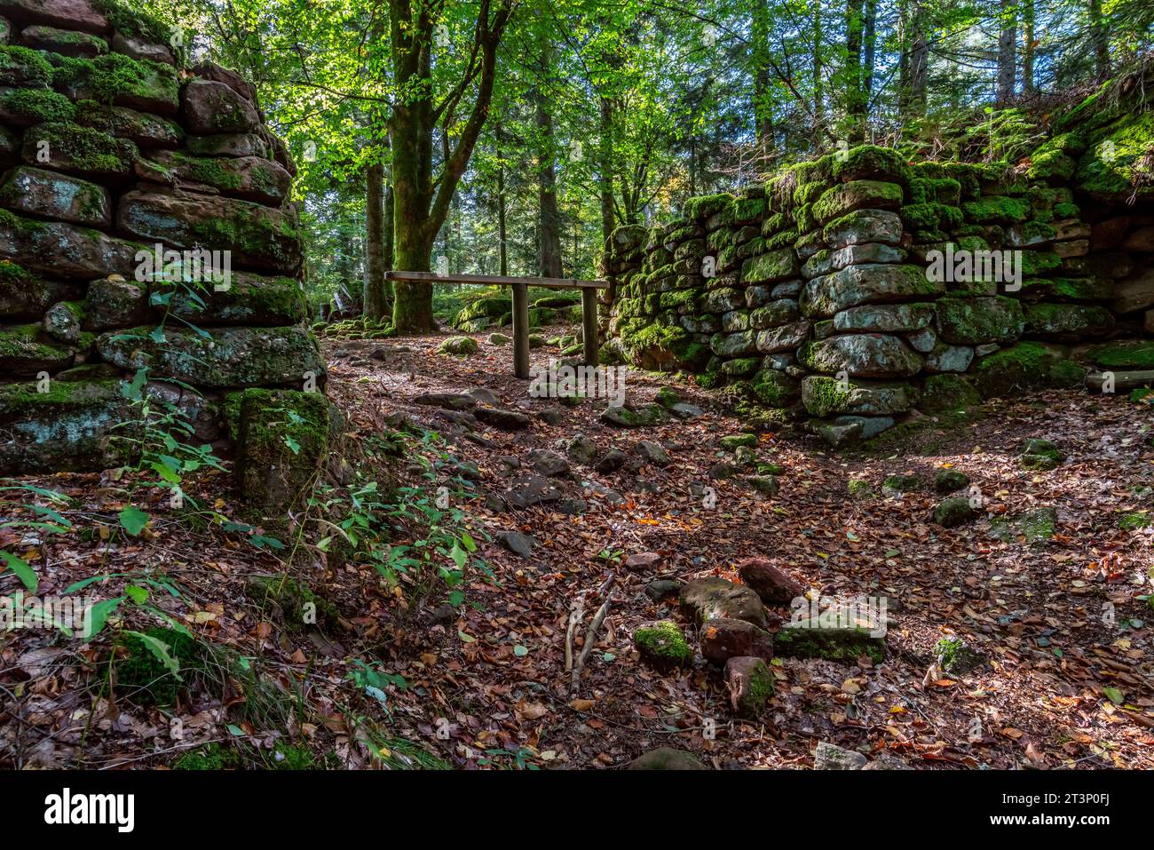 Murus gallicus im keltischen Lager von La Bure Camp celtique de la Bure. Das keltische Lager von La Bure, ein befestigter Hochort, der an die Haute-Meurthe va grenzt Stockfoto