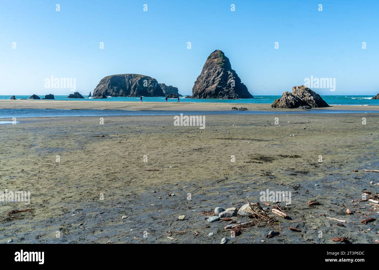 Ein Blick auf die Felsformationen am Whaleshead Beach in der Nähe von Brookings, Oregon. Stockfoto