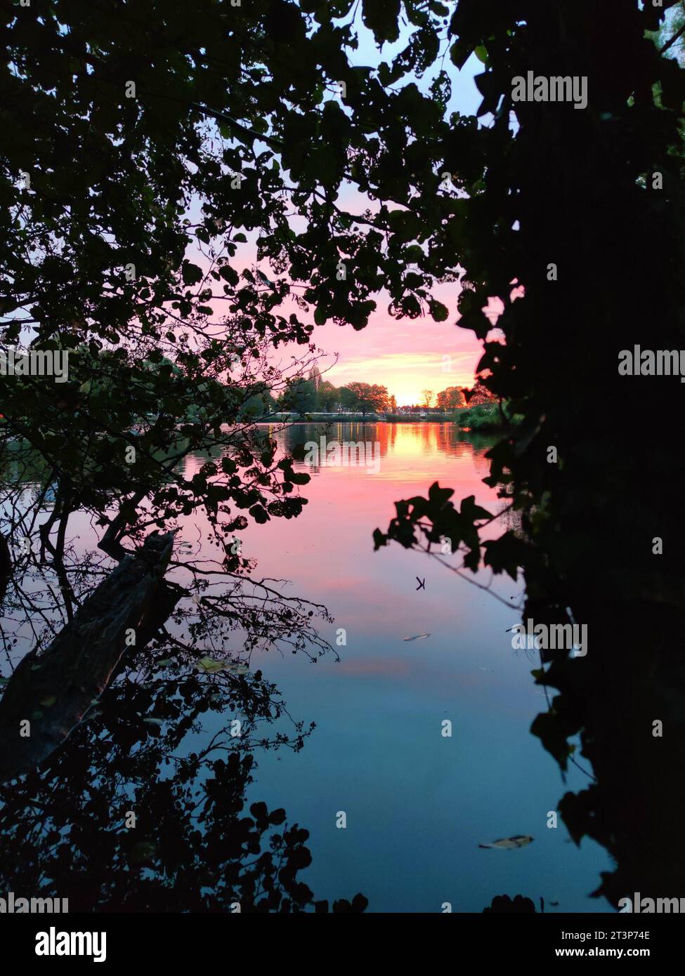Farbenfroher Sonnenaufgang über einem kleinen See Stockfoto