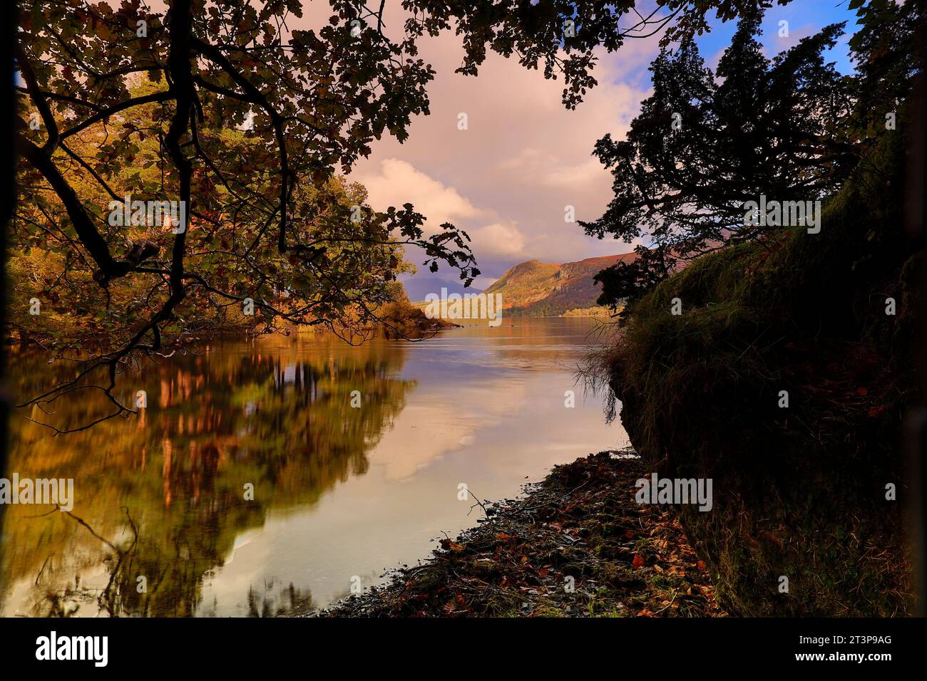 Bilder des Lake District bei derwentwater und Cat Bells. Fellwalk. Stockfoto