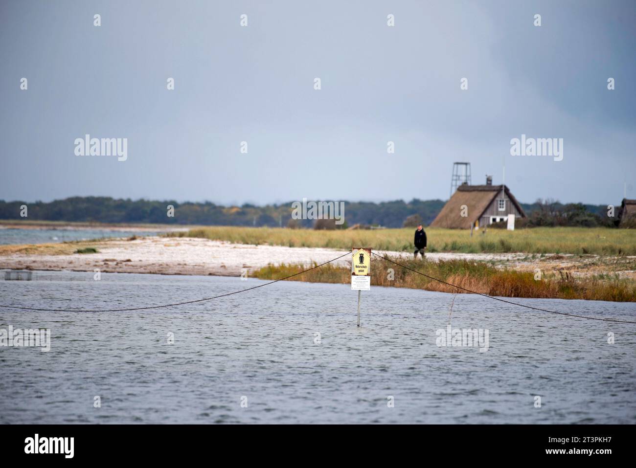 ein-mann-l-uft-auf-der-vogelschutzinsel-langenwerder-vor-gollwitz-auf