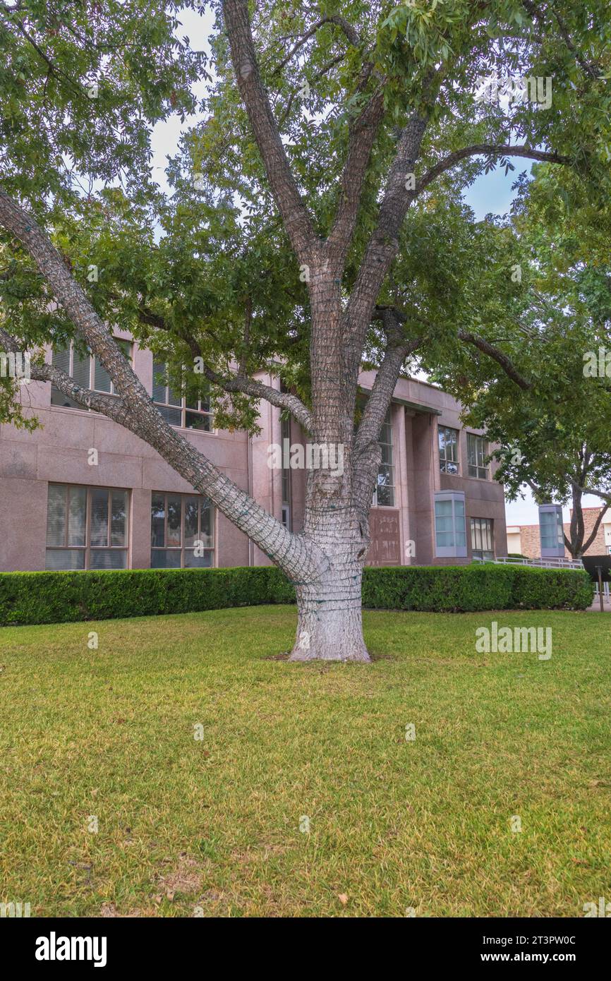 Austin Steam Train Association Hill County Flyer halten in Burnet, Texas - für Mittagessen, Shopping und Unterhaltung. Stockfoto