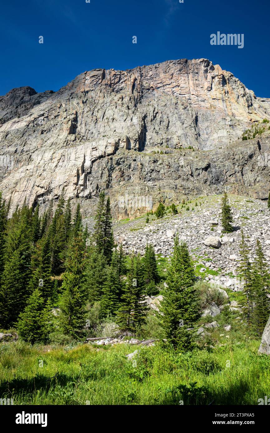WY05359-00...WYOMING - massive Mauern des Palmer Canyon vom Doubletop Mountain Trail in der Bridger Wilderness der Wind River Range aus. Stockfoto