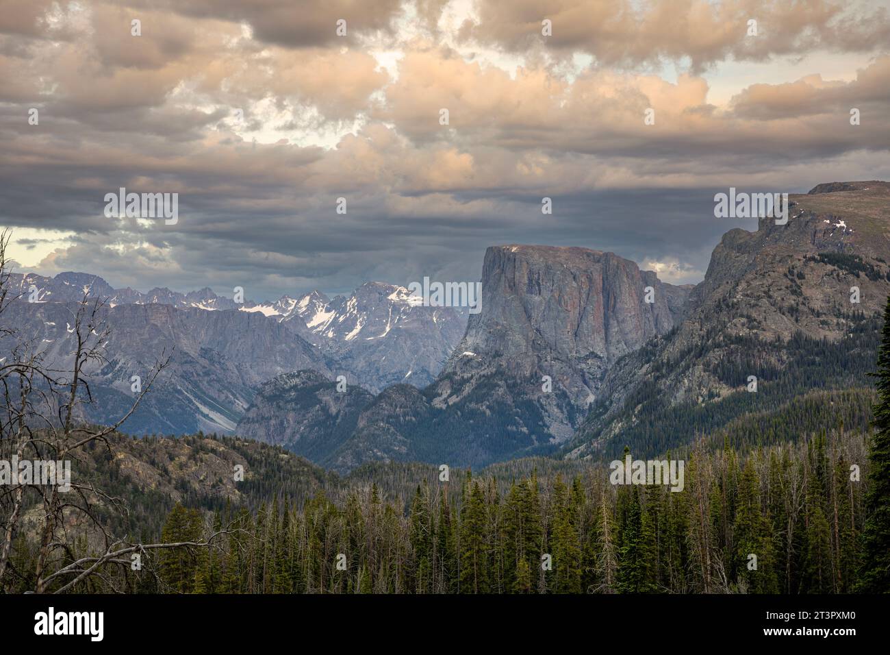 WY05375-00...WYOMING - Blick auf den Squaretop Mountain bei Sonnenuntergang vom Twin Lakes Trail im Abschnitt Bridger Wilderness der Wind River Range. Stockfoto