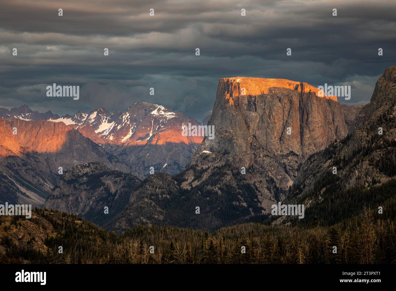 WY05377-00...WYOMING - das letzte Licht der untergehenden Sonne auf dem Squaretop Mountain im Abschnitt Bridger Wilderness der Wind River Range. Stockfoto