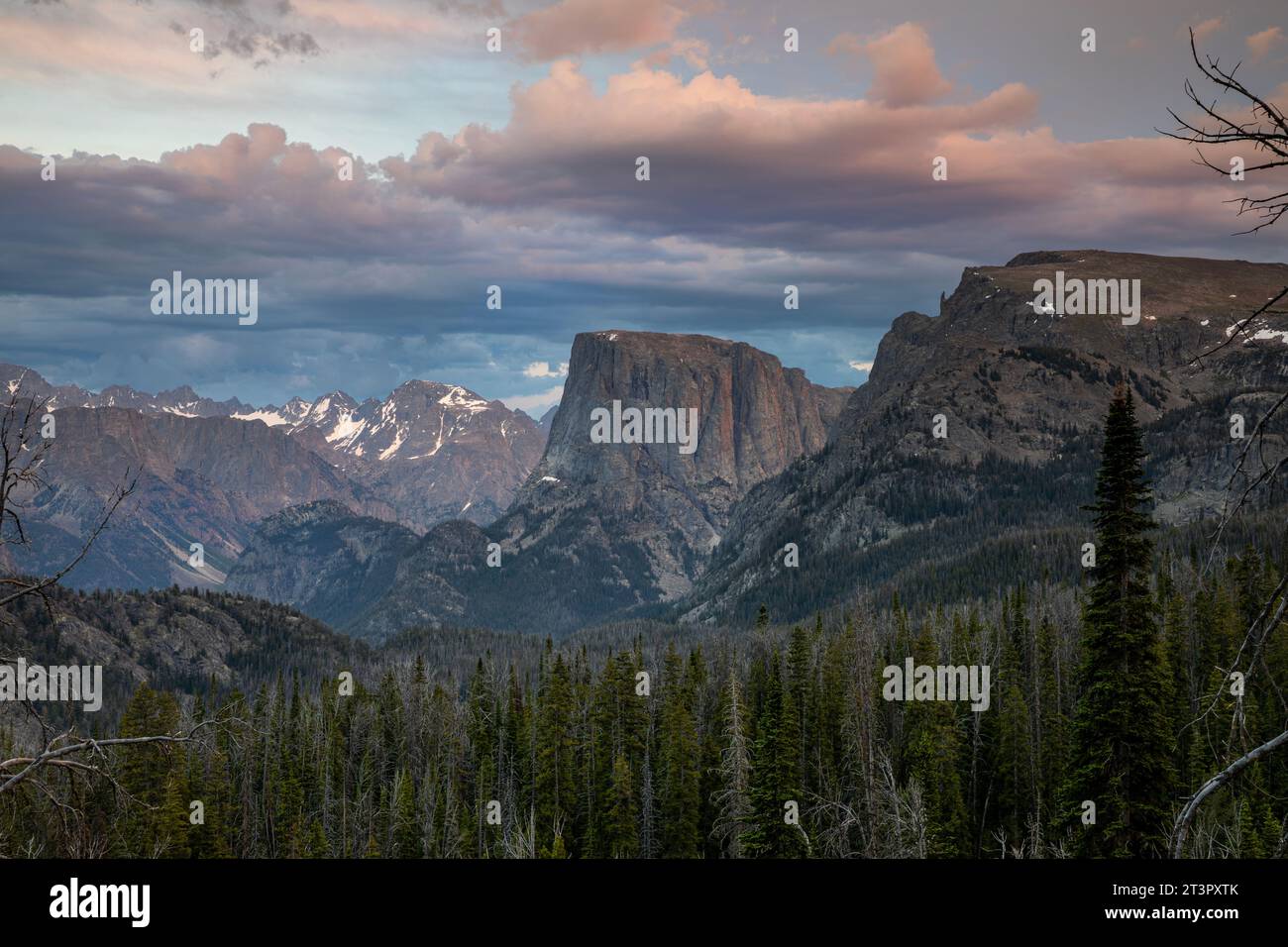 WY05378-00...WYOMING - Squaretop Mountain, während der Sonnenuntergang in die Abenddämmerung in der Bridger Wilderness Area der Wind River Range übergeht. Stockfoto