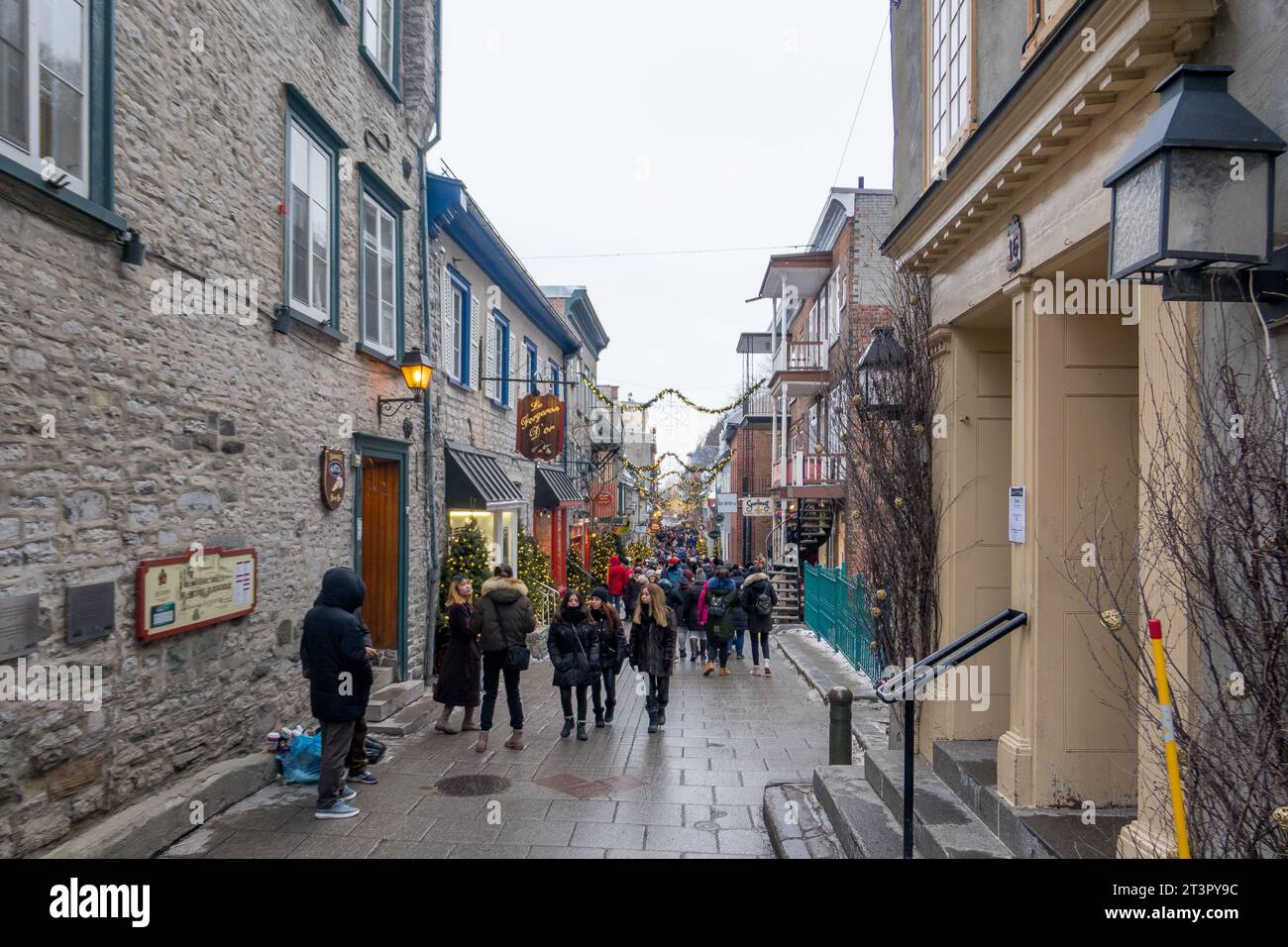 Rue du Petit-Champlain während der Weihnachtszeit, Old Quebec, Quebec City, Kanada. Stockfoto
