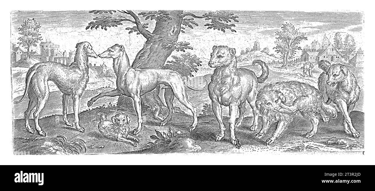 Dogs, Abraham de Bruyn , nach 1583 Eine Sammlung von 6 Arten von Hunden (langhaarige Windhunde, kurzhaarige Windhunde, Laphunde usw.). Die Hunde sind STA Stockfoto